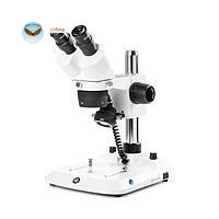 Kính hiển vi soi nổi hai mắt StereoBlue Euromex SB.1302-P (WF10x/21, 10x/30x)